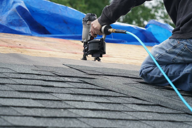 Best Roof Moss and Algae Removal  in Winchester, MO